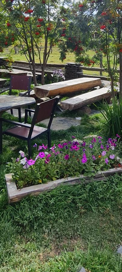 Guest House Shina Omalo Ngoại thất bức ảnh